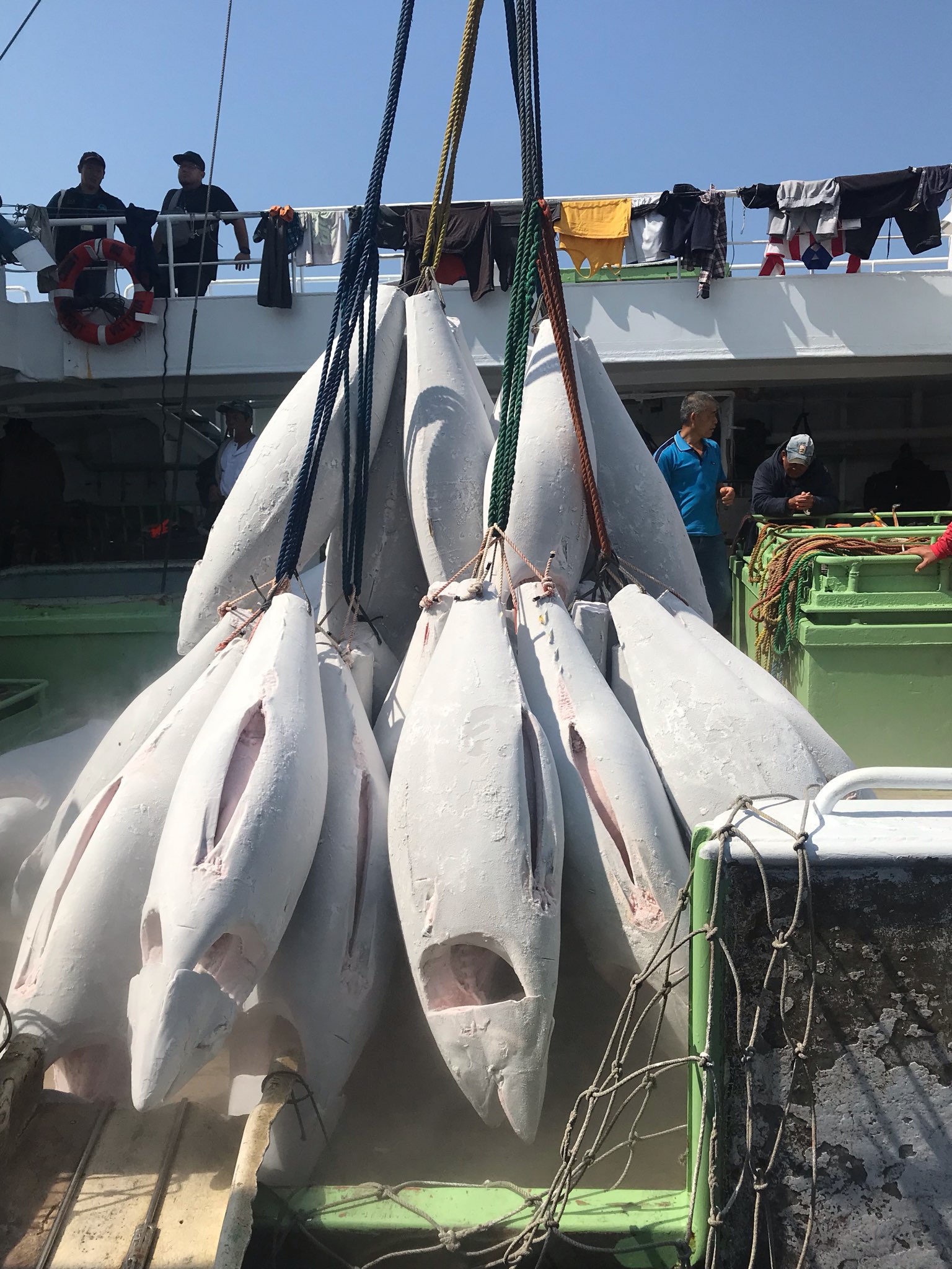 南洋捕魚祭